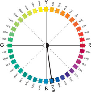 Il cerchio dei colori NCS, nel quale le quattro tonalità uniche sono disposte ai quattro punti cardinali.